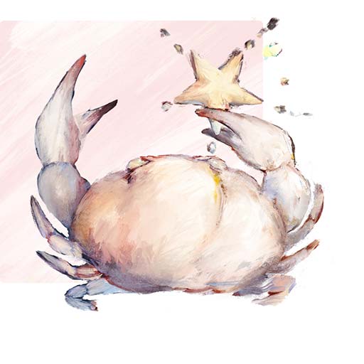 rumi/23時半～60分占い放題✤手相鑑定✤姓名判断✤数秘術✤ 一占入魂】感涙の連鎖止まらぬ≪極的中≫◇青木泉蓉・人情姓名